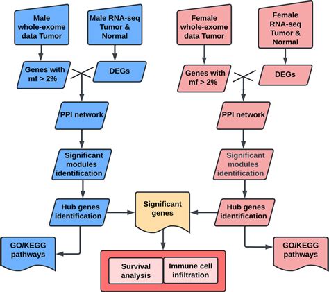 Frontiers Integrative Multi Omics Study Identifies Sex Specific