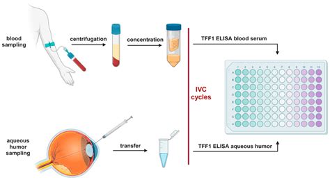 Trefoil Family Factor Peptide 1—A New Biomarker in Liquid Biopsies of