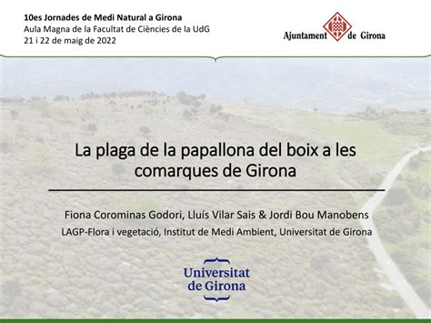 PDF La Plaga De La Papallona Del Boix A Les Comarques De Girona