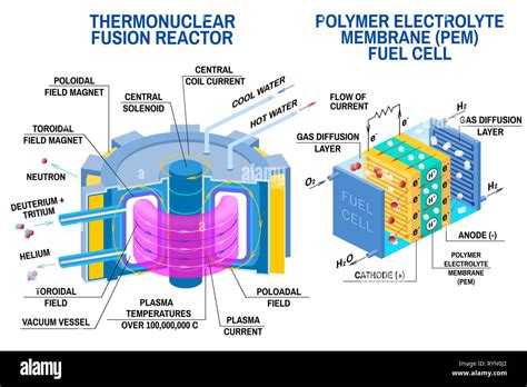 Nuclear Fusion Power Plant Diagram