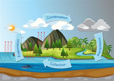 Chemistry Condensation Level 1 Activity For Kids Uk