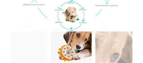 Антивандальная игрушка-плюшка для собак купить в Москве | Животные и ...