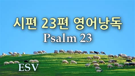 Psalm 시편 23편 Esv 영어성경 낭독 30분 연속재생 반복듣기 Youtube