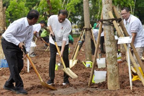 Jokowi Hadiri Acara Gerakan Tanam Pohon Sebagai Upaya Antisipasi