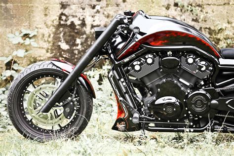 Thunderbike Track Racer H D Night Rod Vrscdx Custom Motorcycle