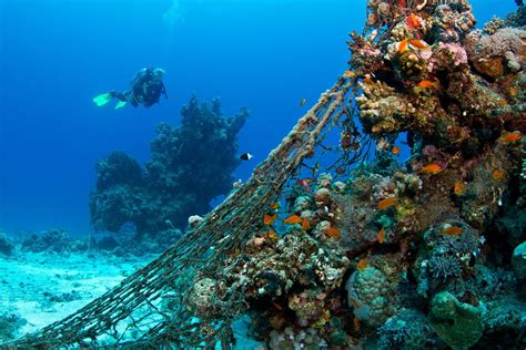 Whats The Solution To Ghost Fishing Gear Polluting Oceans