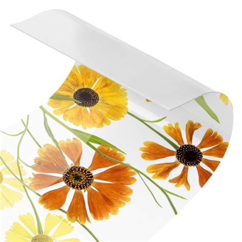 Helenium Cr Dence Cuisine Micasia Fr