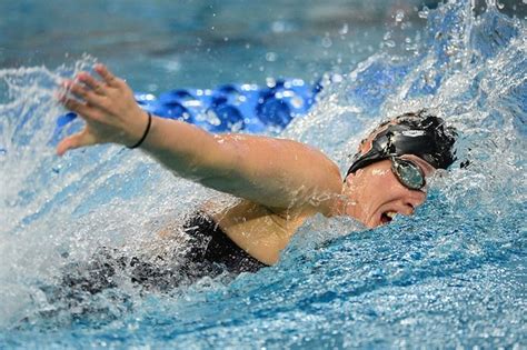 No 4 Womens Swimming And Diving Defeats No 6 Indiana And No 19 Florida