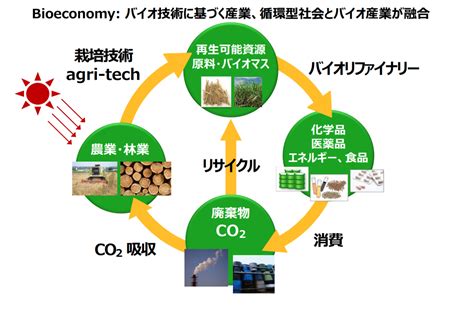 化石燃料への依存から脱却できる？ バイオマスを活用したバイオリファイナリーとは Hatch ｜自然電力のメディア