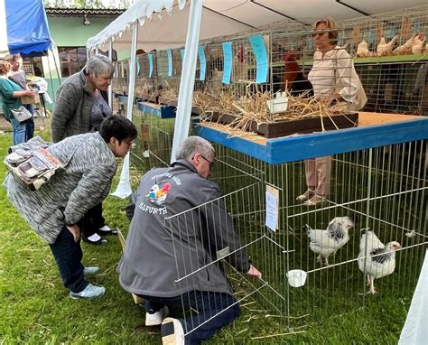 Illfurth Rendez Vous Au March De La Basse Cour