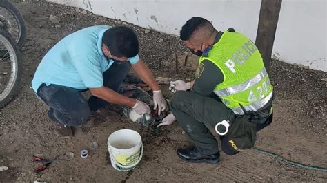 Los Capturaron Cuando Arrastraban A Un Perro Desde Una Moto Lo Iban