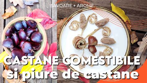 Cum sa prepari castane comestibile și un piure de castane super