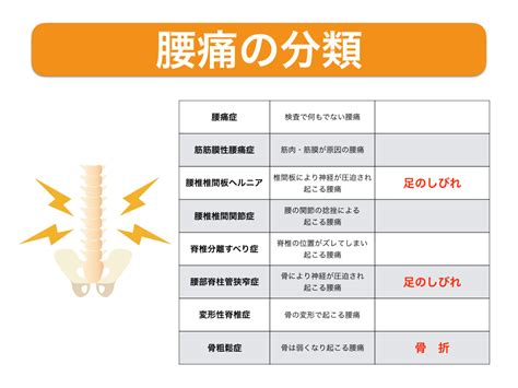 腰痛の分類 水戸市の鍼灸整骨院 ふじ鍼灸整骨院 茨城県庁から車で6分の整体・鍼灸