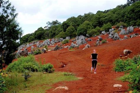 Las Dunas Rojas De Pacula El Marte Hidalguense La Silla Rota