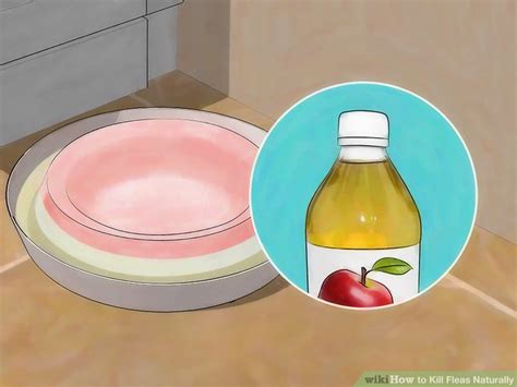 How to Kill Fleas Naturally (with Pictures) - wikiHow