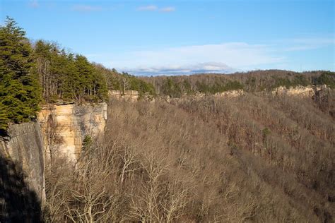 Hiking in New River Gorge National Park [Trail Guide]