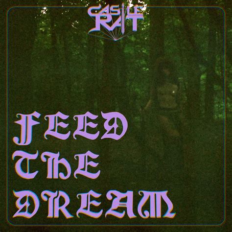 'Feed The Dream' by Castle Rat - It's Psychedelic Baby Magazine