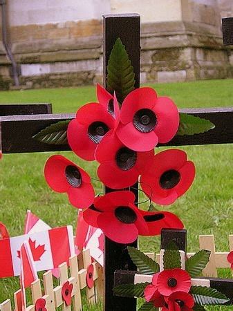 celebrity hollywood cool: Anzac Day Poppy