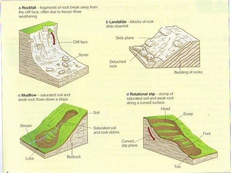 4 Types Of Mass Movement