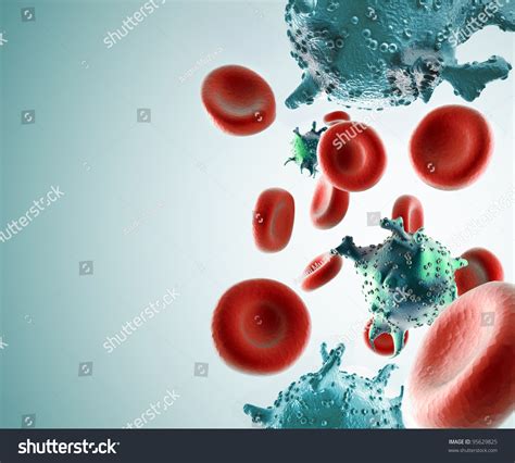 Hiv Cells In Blood Stream Stock Photo 95629825 Shutterstock