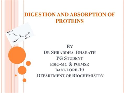 Digestion and absorption of proteins