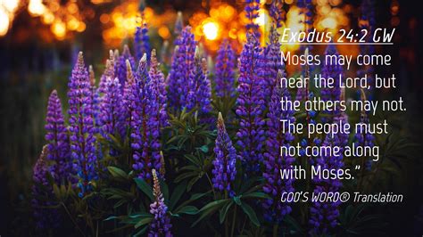 Exodus 24 2 GW Desktop Wallpaper Moses May Come Near The Lord But