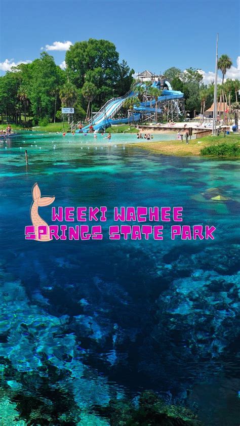 Weeki Wachee Springs State Park In 2024 State Parks Travel Fun