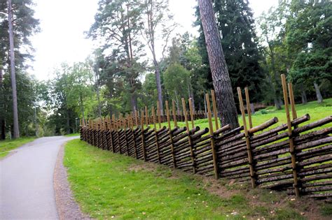 Biofencing in Sweden: A sustainable, natural alternative to wire fences