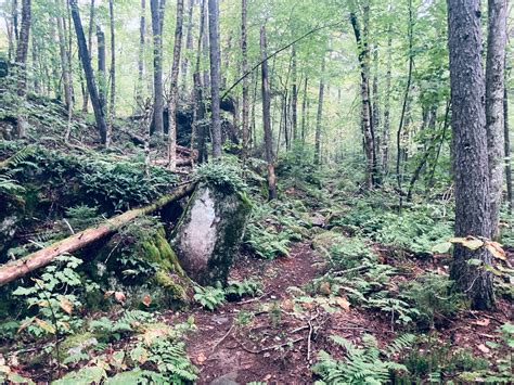 Sentinel Mountain – Hiking in Maine