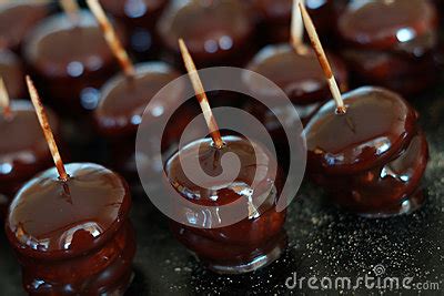 Chocolate Canapes Royalty-Free Stock Photography | CartoonDealer.com ...