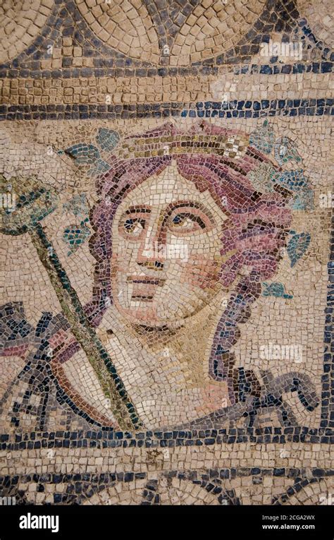 ephesus turkey roman mosaic house  res stock photography  images