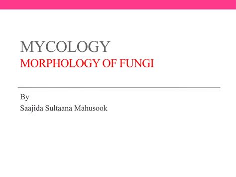 Morphology Of Fungi Ppt