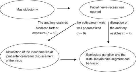 Schematic Diagram Of Geniculate Ganglion Decompression Of Facial Nerve