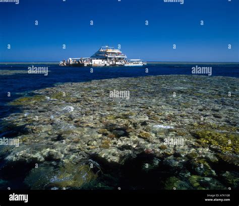 Cairns, Great Barrier Reef Stock Photo - Alamy