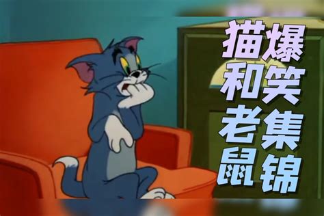 猫和老鼠：猫和老鼠爆笑集锦，总是以惨败收尾的捉鼠之路