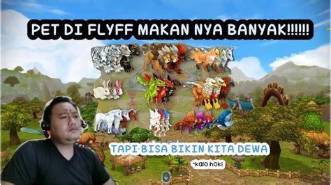 PET SYSTEM DI FLYFF UNIVERSE MENAKJUBKAN YouTube