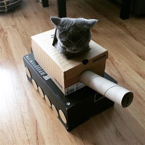 Future Military Tanks Cat Sunnynbvmb