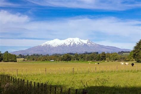 Mount Ruapehu Volcano in New Zealand Stock Photo - Image of mountain ...