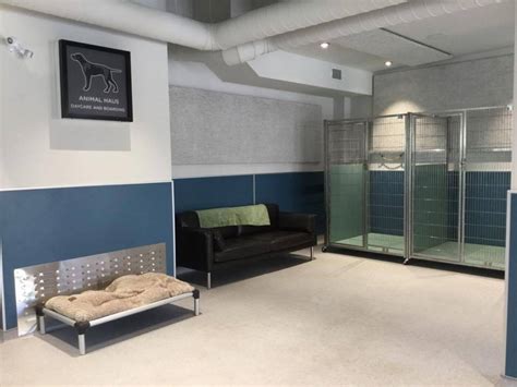 Toronto Has A New Luxury Dog Hotel