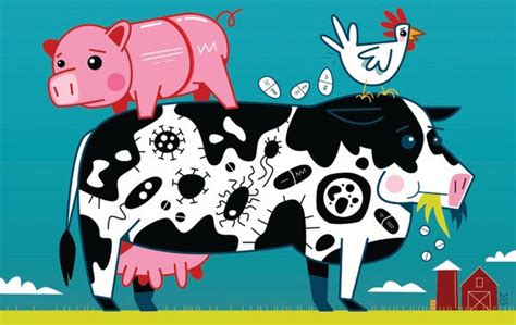 To Fight Antimicrobial Resistance Start With Farm Animals Scientific