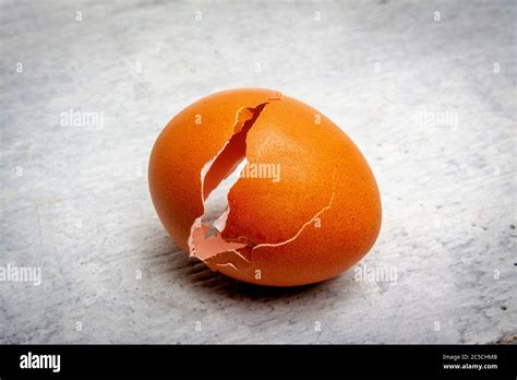 Cáscaras de huevo roto fotografías e imágenes de alta resolución Alamy