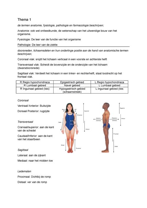 LF Blok 1 Verpleegkunde Anatomie En Fysiologie Een Inleiding