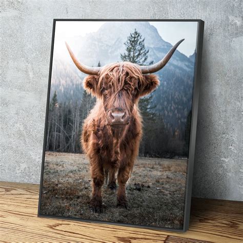 Highland Cow Picture Portrait Full Color Highland Cow Wall - Etsy