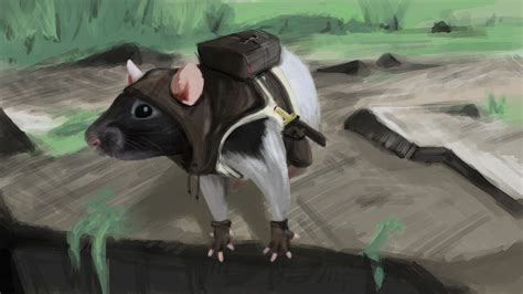 Assassin Rat By Green4gfx On Deviantart