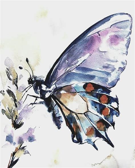 20 Beautiful Watercolor Butterfly Painting Ideas - Beautiful Dawn ...