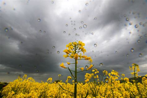 Wetter Sonnenschein und Gewitter wechselhaftes Wetter im Südwesten