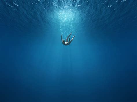 Underwater Images – Browse 1,771,561 Stock Photos, Vectors, and Video ...