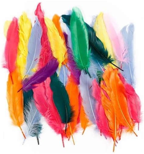 Multicolor Artificial Chicken Feathers, Size/Dimension: 3.5 Inches ...