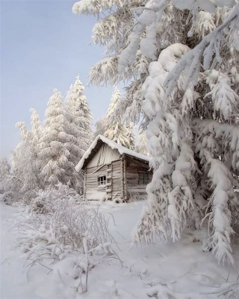 Google Paisagem De Inverno Cabana De Inverno Cen Rio De Inverno