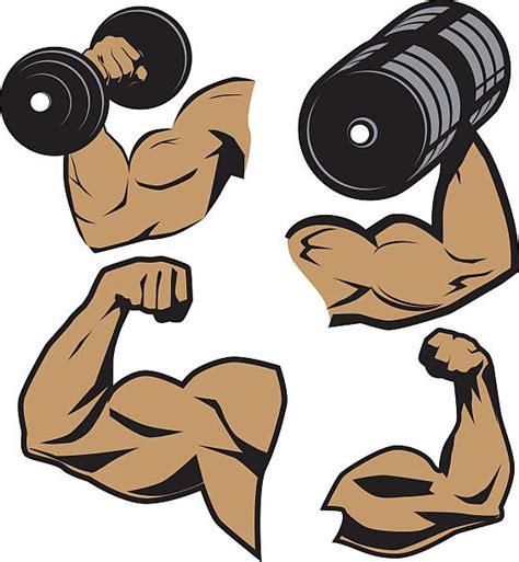 Bicep Curl Clipart 20 Free Cliparts Download Images On Clipground 2024